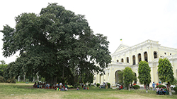 OSA Mohindra College 7